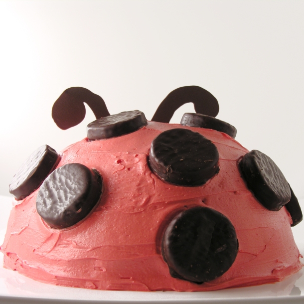 Ladybug Cake2